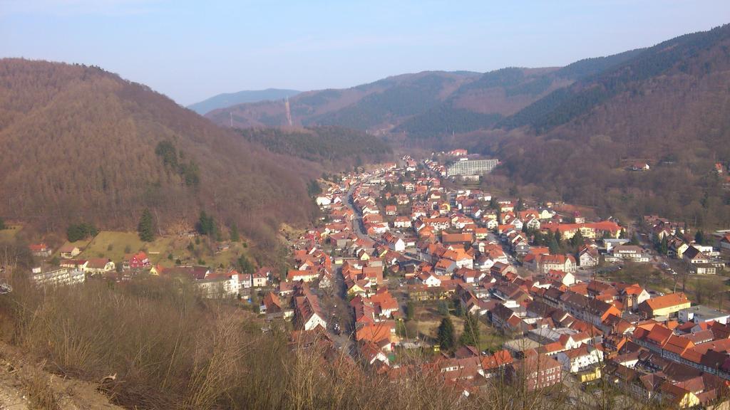 Ferienwohnung Am Paradies Bad Lauterberg Luaran gambar