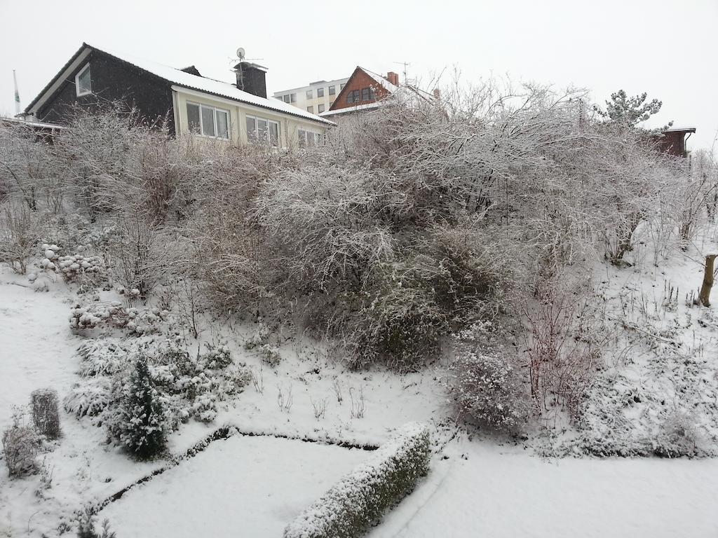 Ferienwohnung Am Paradies Bad Lauterberg Luaran gambar
